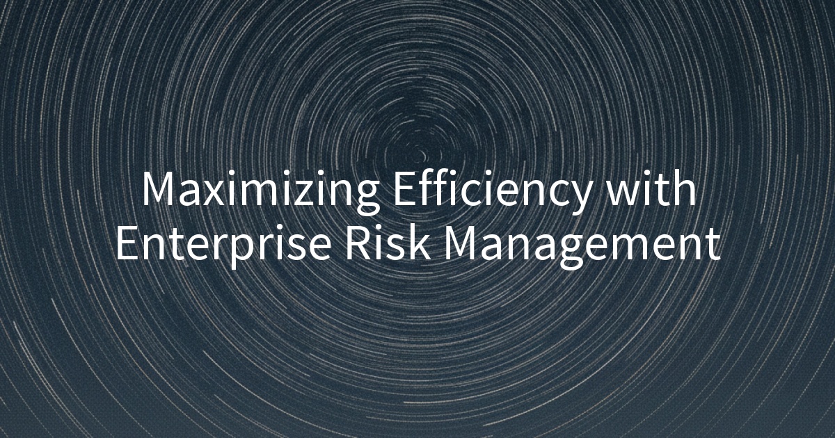 Maximizing Efficiency with Enterprise Risk Management